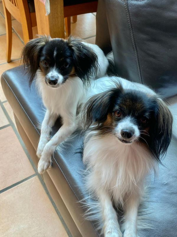 Iris et Priam • le dimanche 27 septembre 2020 Iris et Priam • le dimanche 27 septembre 2020