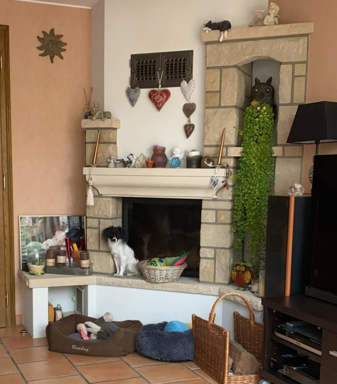 Priam attend une croquette Priam attend une croquette