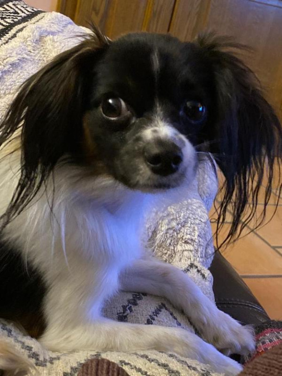 Priam sait faire les gros yeux gentils ! Priam sait faire les gros yeux gentils !