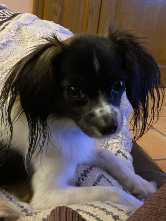 Priam profite de ses couvertures Priam profite de ses couvertures