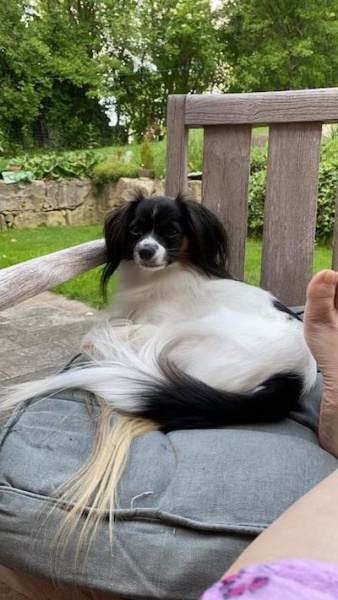 Priam au soleil Priam au soleil