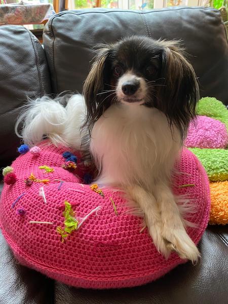 Iris sur son coussin donut confectionné par sa maman Iris sur son coussin donut confectionné par sa maman