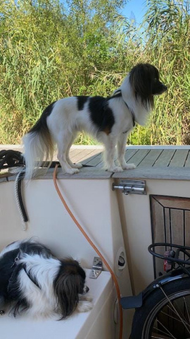 Iris et Priam en croisière