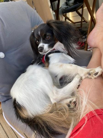 Priam décontracté Priam décontracté