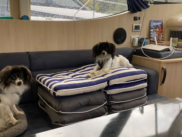 Iris & Prima en croisière