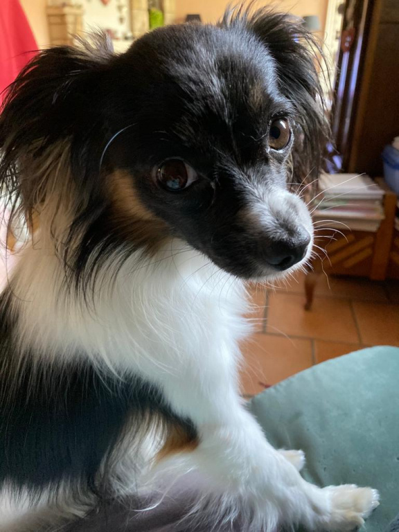 Priam vous dit "bonjour" !