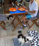 Première escale à Sarreburg en Allemagne