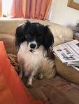 Principessa du Domaine des Seigneurs de la Vallée