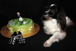 Bon anniversaire Calypso ;-)