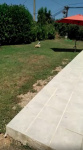 Vidéo de Romy avec sa copine Java