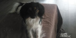 Romy le 12 mars 2021