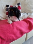 Romy fête ses 1 an