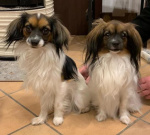 Ravel et Nana