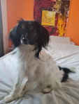 Romy devant le tableau peint par sa maman