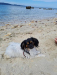 Romy à la mer