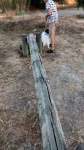Vidéo • Jorann fait de l'agility