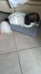 Romy, le 25 juillet 2026