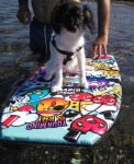 Romy sur sa planche de surf en août 2020
