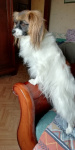 Mélisse prend la pose pour la photo !