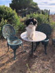 Principessa • le 1er septembre 2020